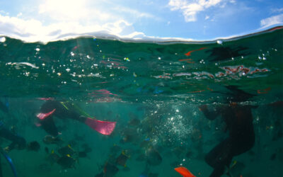Best Moreton Island Attractions for Outdoor Lovers