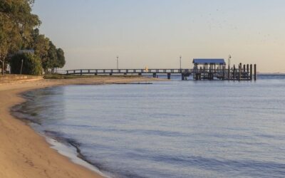 Easy Day Trips for Whale Watching in Moreton Bay