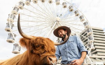 Ekka 2026 from Caboolture: the train-in, no-parking-stress plan