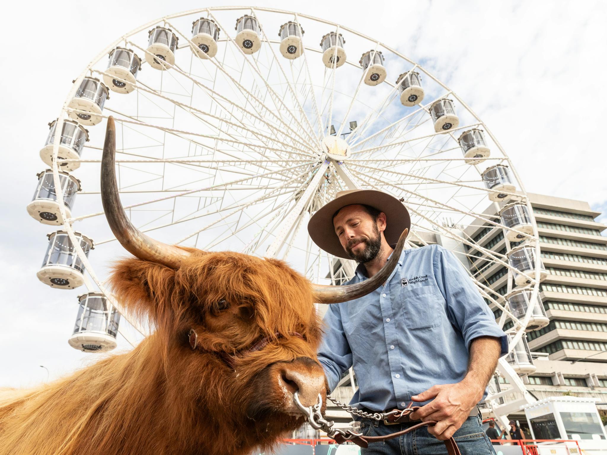 ekka-from-caboolture-by-train Crowds and carnival rides at the Ekka Royal Queensland Show in Brisbane