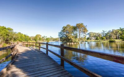 Winter in Caboolture: markets, museums and the dry-season list